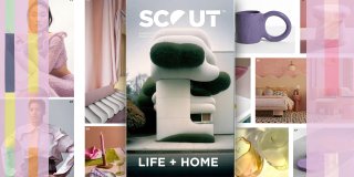 ‎ 

SCOUT LIFE 
A/W 25/26...