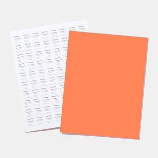 PANTONE ® TPG
fully coated large paper swatch cards 
21 cm x 28 cm...